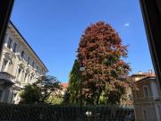 Appartamento TRILOCALE in affitto a Torino To