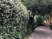 appartamento via misurina