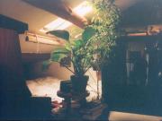 Appartamento/Mansarda in affitto zona Pasteur in via...