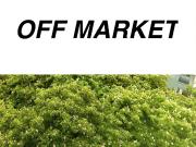 Appartement 102 m2 Paris 1er