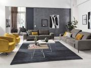 Appartement 145 m2 Paris 15ème