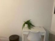 Appartement 1 chambre à louer à Lyon