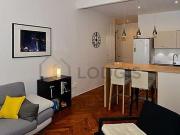 Appartement 1 chambre meublé avec cheminée Lyon 7°