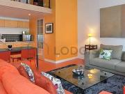 Appartement 1 chambre meublé Lyon 1°