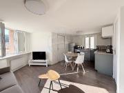 Appartement 1 chambre s à vendre