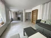 Appartement 1 chambre s à vendre