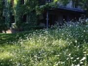 Appartement 1 chambres, Lyon Lyon 69370 DLS91863412