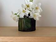 Appartement 1 chambres, Montpellier Montpellier DS99385540