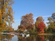 Appartement 1 pièce 17 m²