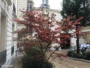 Appartement 1 pièce 17 m²