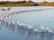 Appartement 1 pièce 17 m²