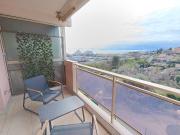 Appartement 1 pièce, 17 m² à louer à Villeneuve Loubet 06270