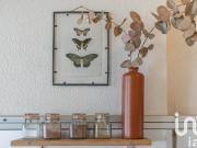 Appartement 1 pièce 19 m²