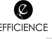 Appartement 1 pièce 19 m²