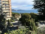 Appartement 1 pièce, 20 m² à louer à Nice 06000