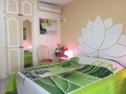 Appartement 1 pièce 22 m²