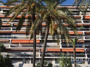 Appartement 1 pièce 22 m²