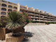 Appartement 1 pièce 24 m²