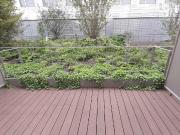 Appartement 1 pièce 25 m²