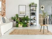 Appartement 1 pièce 27 m²