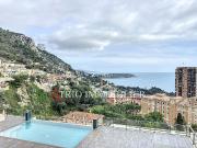 Appartement 1 pièce 28 m²