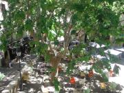 Appartement 1 pièce 28 m²