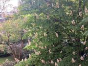 Appartement 1 pièce 29 m²