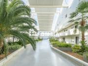 Appartement 1 pièce 32 m²