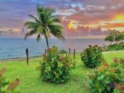 Appartement 1 pièce 34 m²