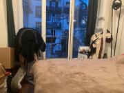 Appartement 1 pièce 34 m²