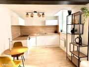 Appartement 1 pièce 42 m²