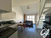 Appartement 1 pièce à louer