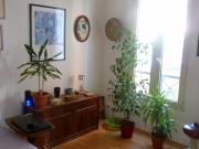 Appartement 1 pièce à Paris 75020