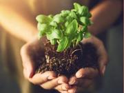 appartement 1 pièces