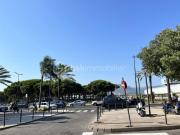 'Appartement 2 chambres + caves + garage'