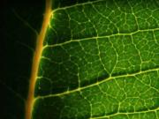 appartement 2 pièces