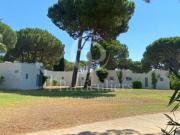 Appartement 2 pièces 31 m²