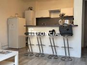 Appartement 2 Pièces 35m² à vendre 112000 Grenoble 38100