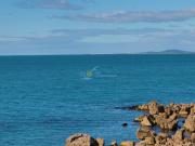 Appartement 2 pièces 36 m²