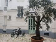 Appartement 2 pièces 36 m²