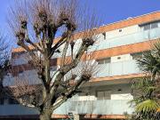 Appartement 2 pièces 37 m²