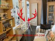 Appartement 2 pièces 38 m²