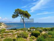 Appartement 2 pièces 54 m²