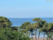 Appartement 2 pièces 54 m²