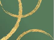 appartement 2 pièces