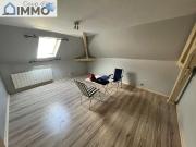 Appartement 2 pièces 60m2 CENTRE VILLE