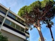 Appartement 2 pièces 61 m²