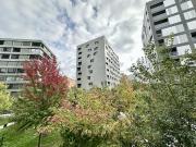 Appartement 2 pièces 64 m²