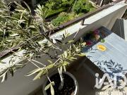 Appartement 2 pièces 62 m²