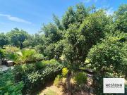 Appartement 2 pièces 64 m²